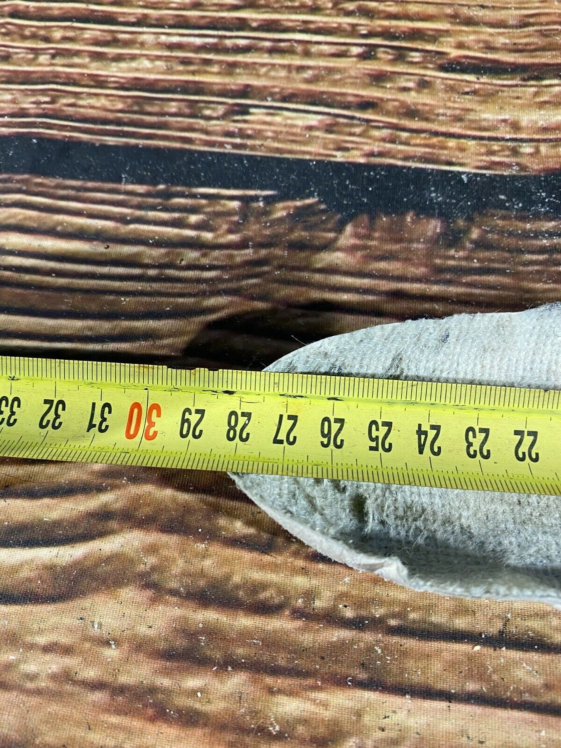 Alpina Back Country Nordic Ski Boots Size EU42 US9 NNN-BC bindings 1837