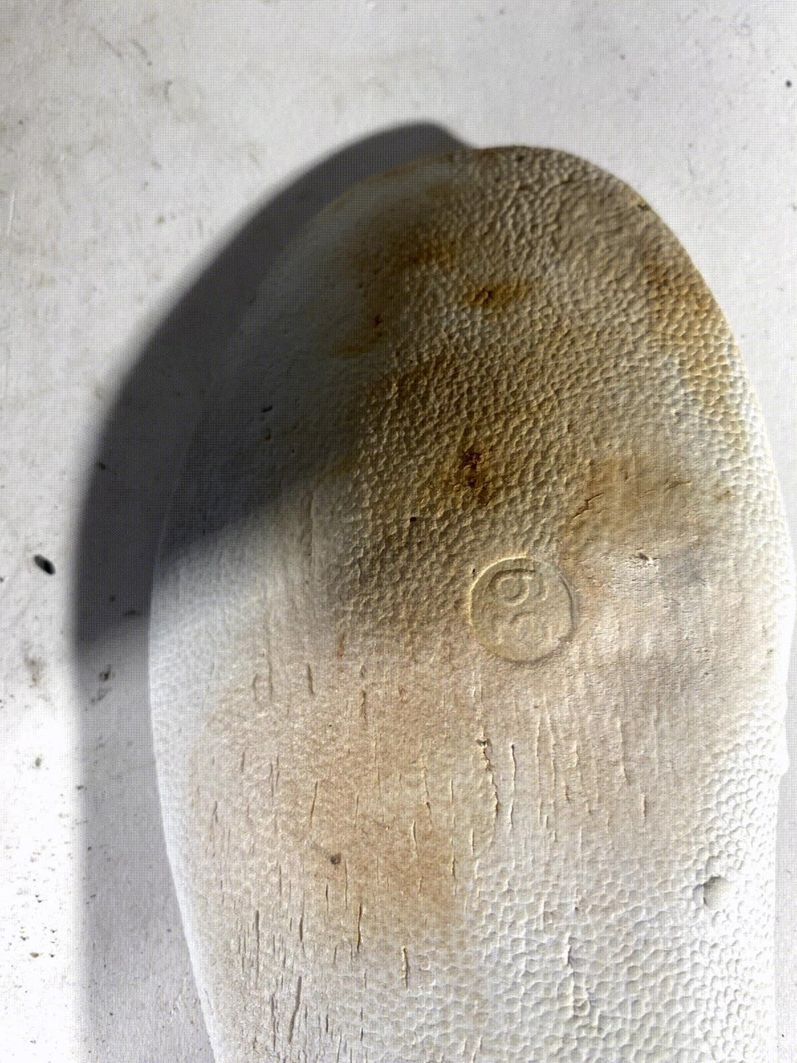 Alpina T5 Plus Touring Nordic Cross Country Ski Boots Size EU39 US7 NNN 2921