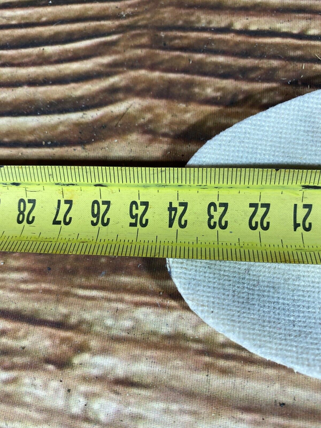 Alpina 312JR Nordic Cross Country Ski Boots Size EU37 US5 for NNN 993