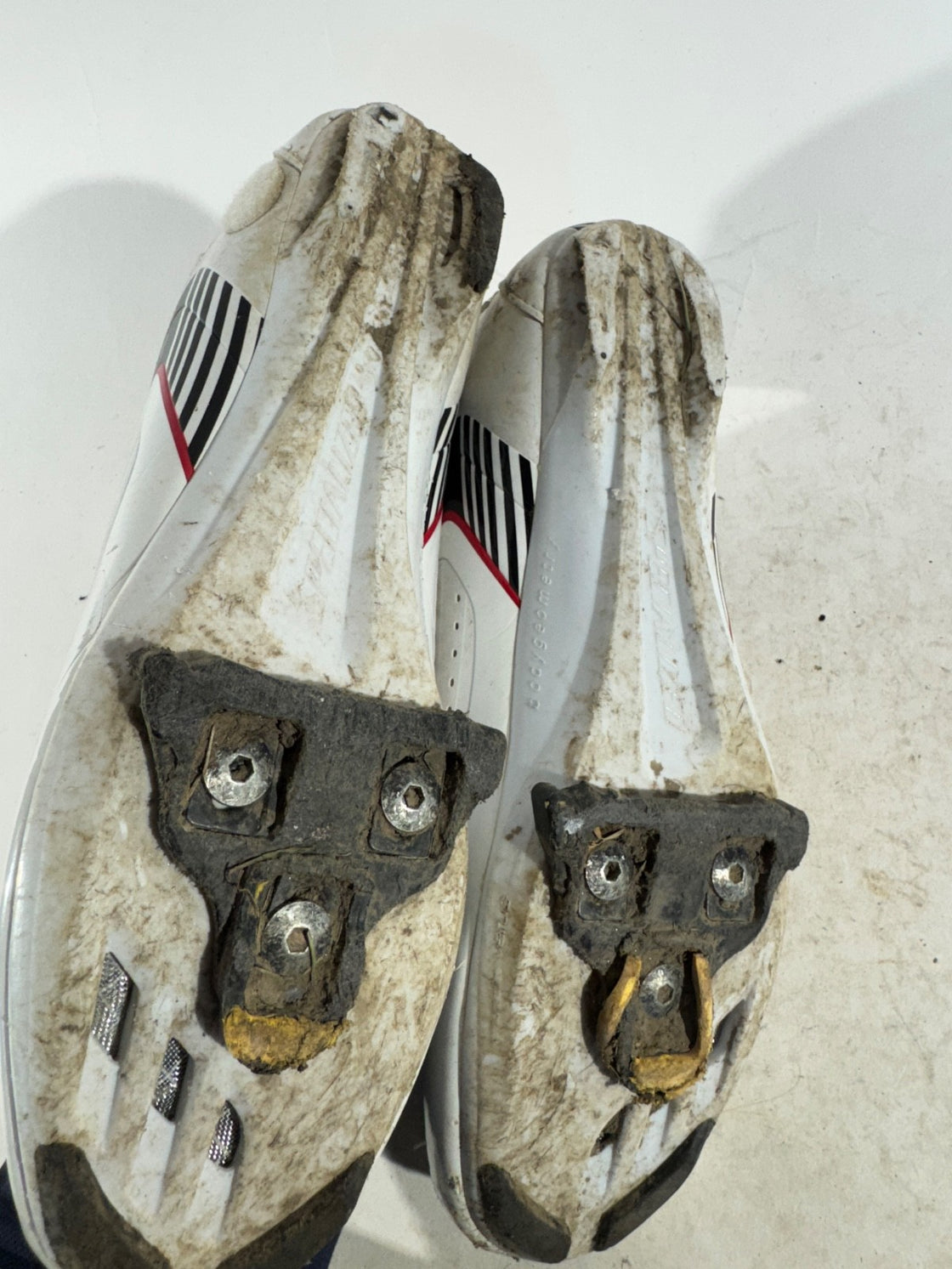 SPECIALIZED Comp Road Cycling Shoes 3 Bolts EU45 US11.5 UK10.5 Mondo 290 cs 1319