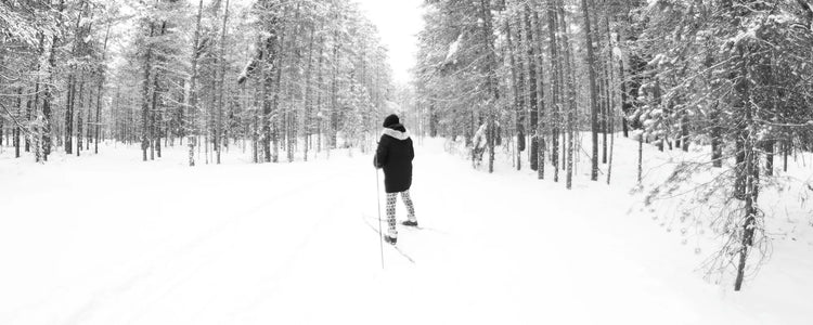 Skier on classic cross-country skis in a snow-covered pine forest