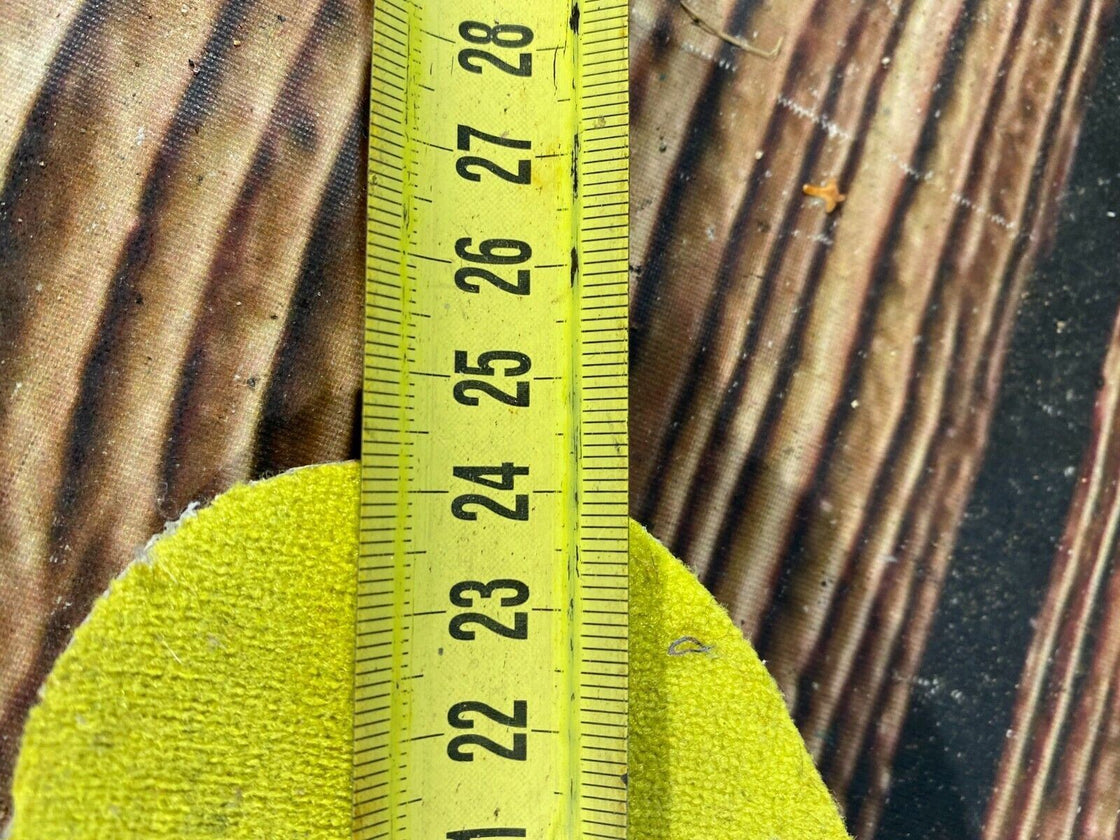 Fischer RCS Pro Cross Country Ski Boots Size EU38 US6 SNS profil 1140