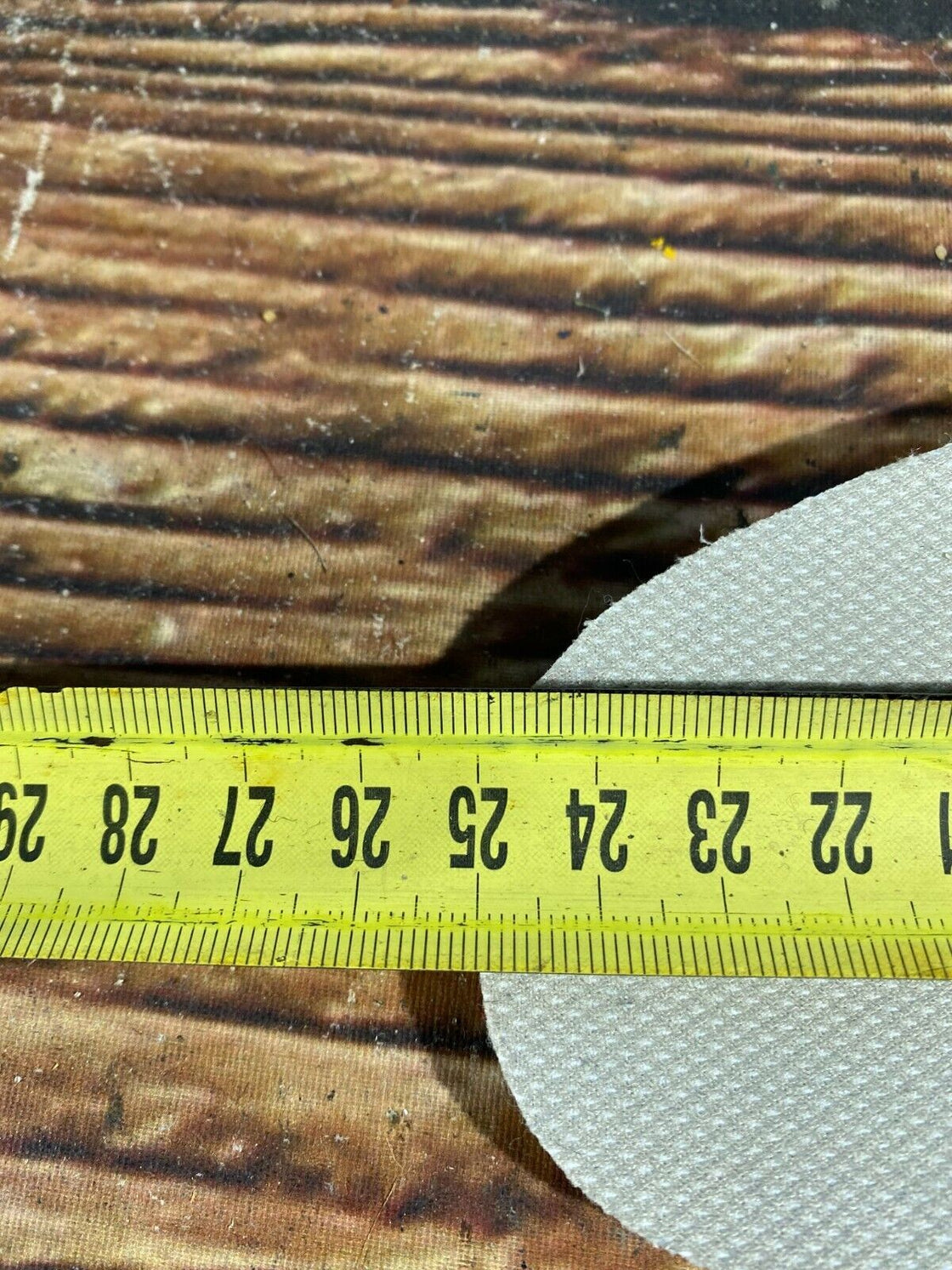 Alpina Touring Jr Nordic Cross Country Ski Boots Size EU38 US6 for NNN 682